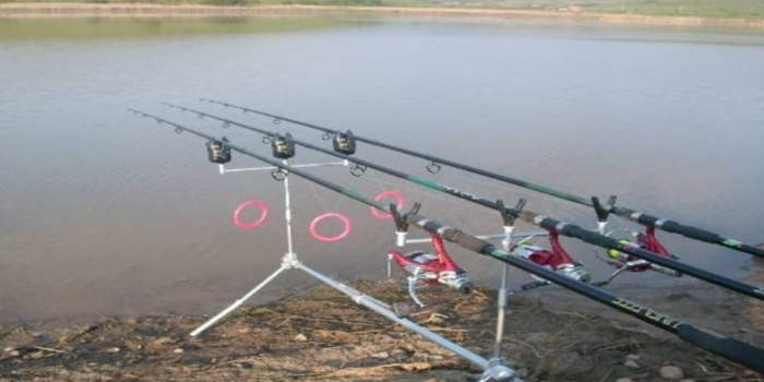 balta ciurila