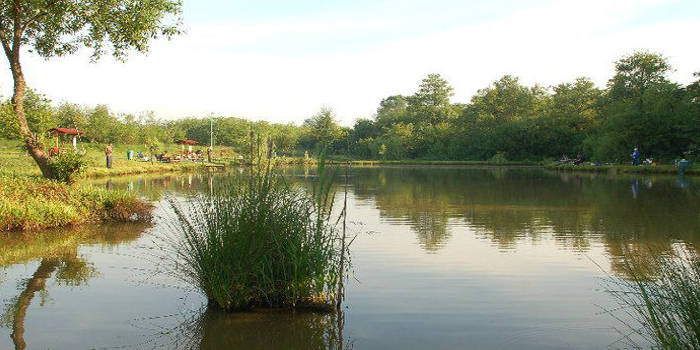 balta costin maramures