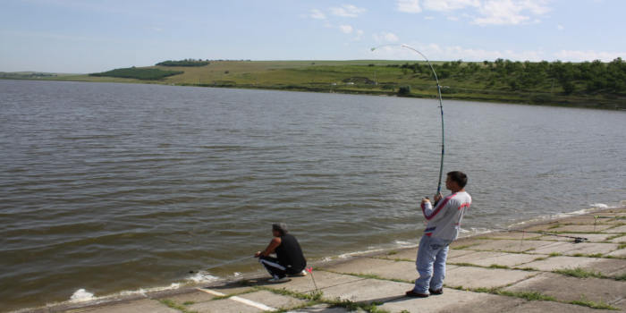 balta horgesti bacau