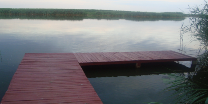 balta moara salciilor