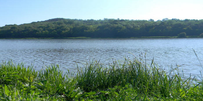 lacul stejeris