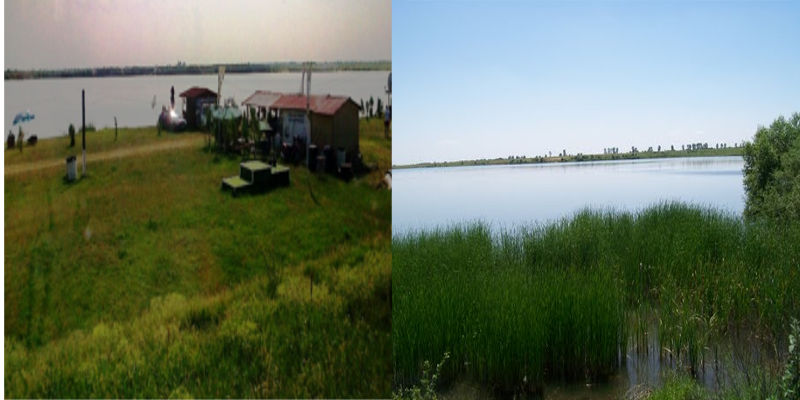 Balta bunget 2 dambovita
