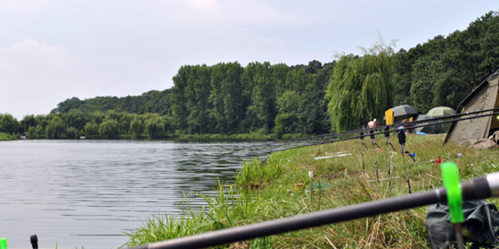 balta moara vlasiei 2