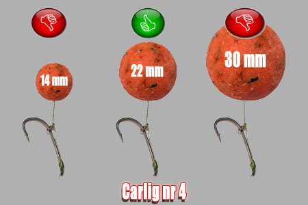Dimensiune boiliesului si marimea carligului