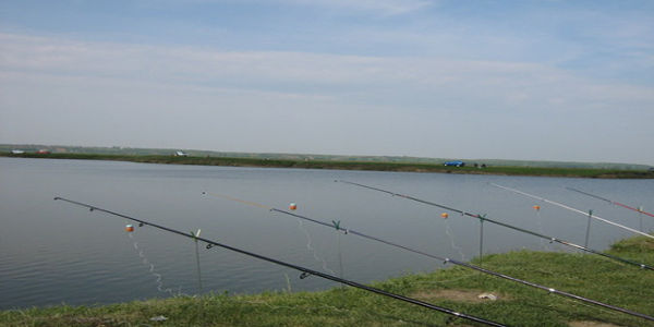 balta parscoveni