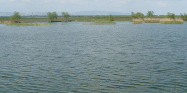 balta magula prahova